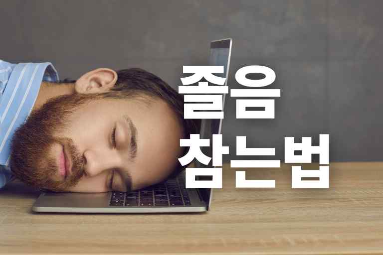 졸음 참는법 11가지