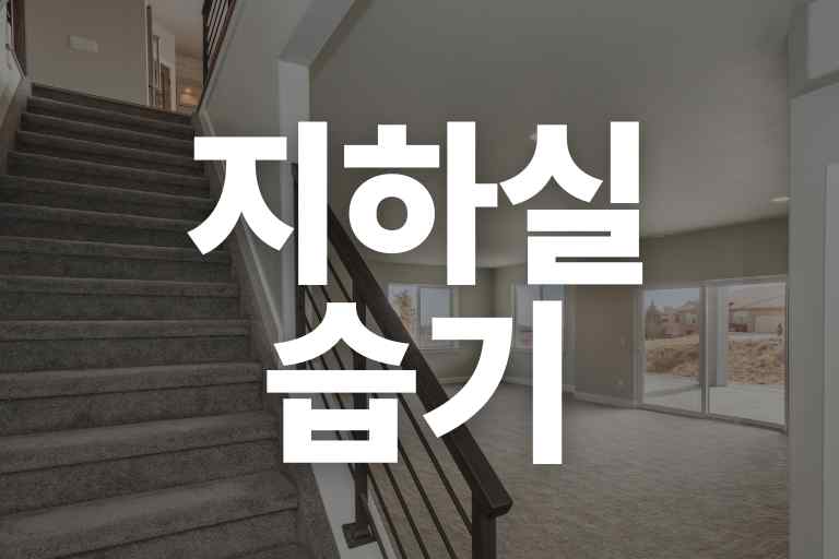 지하실 습기제거 방법 7가지, 완벽히 해결해요