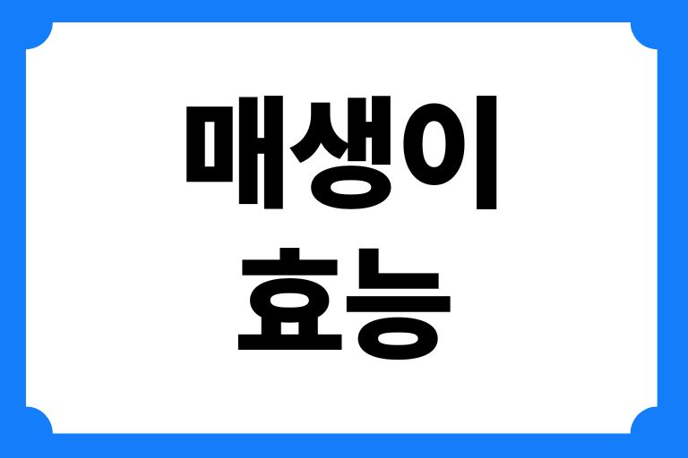 매생이효능