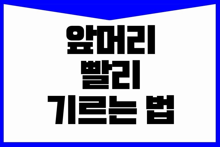 앞머리 빨리 기르는 법