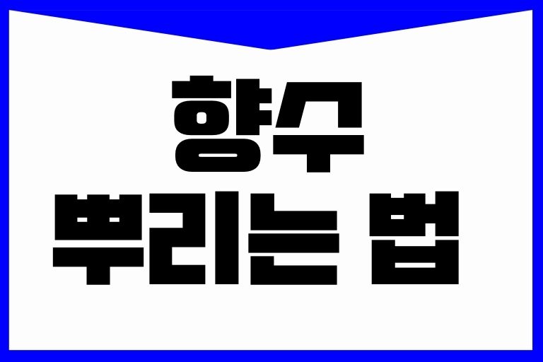 향수 뿌리는 법