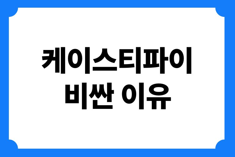 케이스티파이 비싼 이유 장점