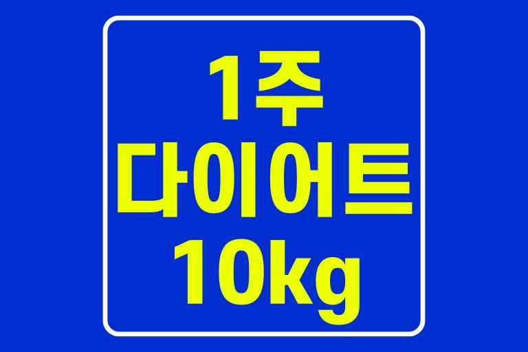1주 다이어트 10kg