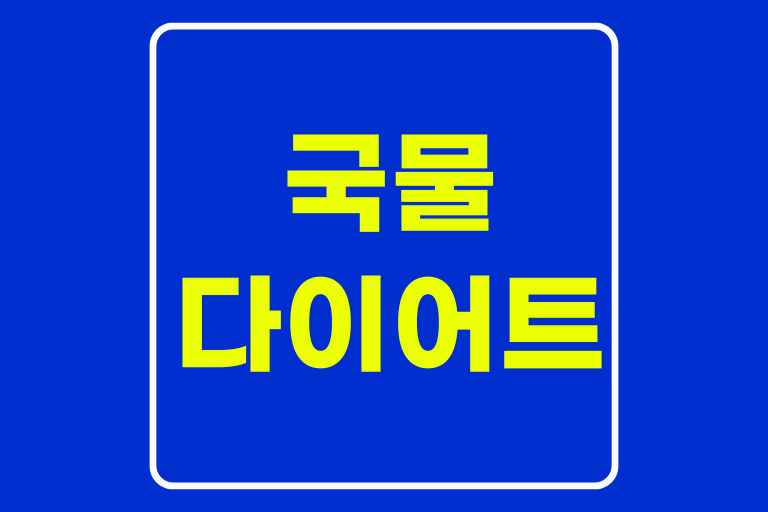 국물 다이어트