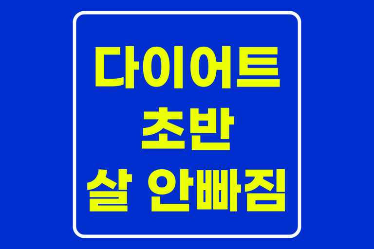 다이어트 초반 살 안 빠짐