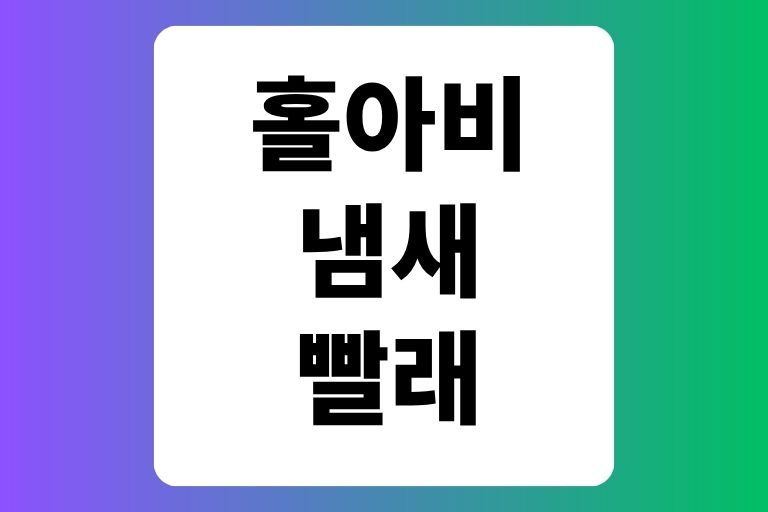 홀아비 냄새 빨래 기타원인과 해결법