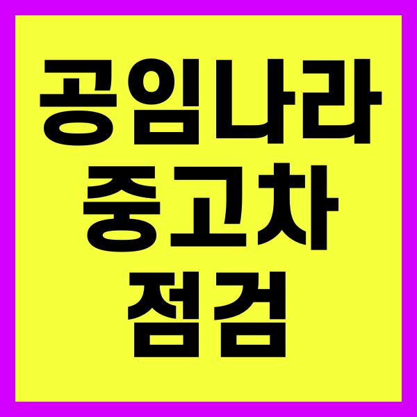 공임나라 중고차 점검