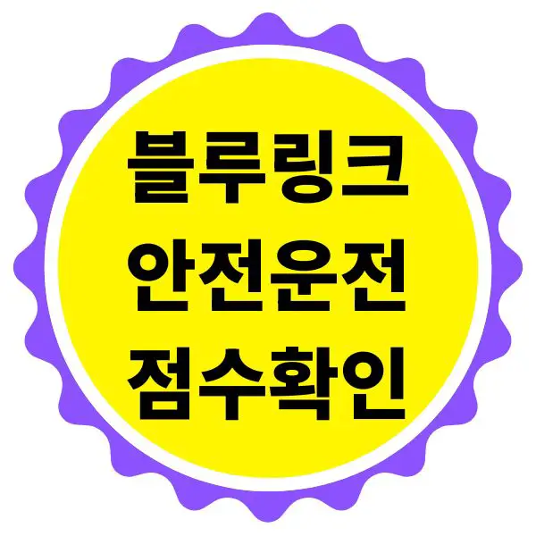 블루링크 안전운전 점수 확인 방법