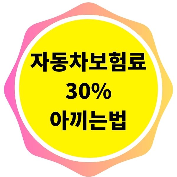 지금 당장 자동차보험료를 30% 아끼는 방법 비교표